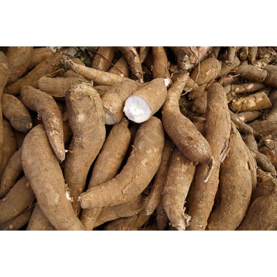 vartotojo kelta nuotrauka